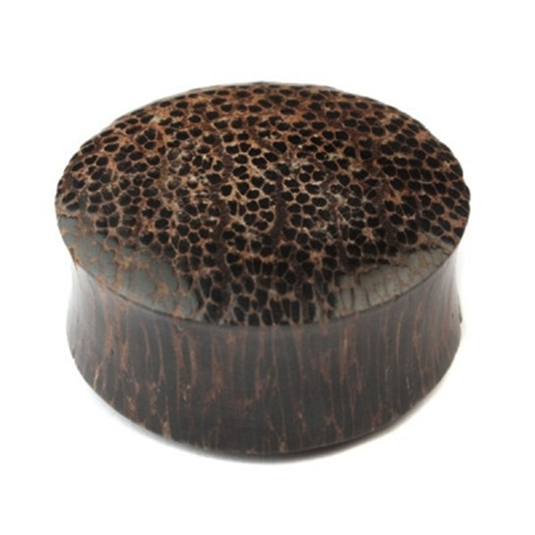 Convex Palm Wood Plug