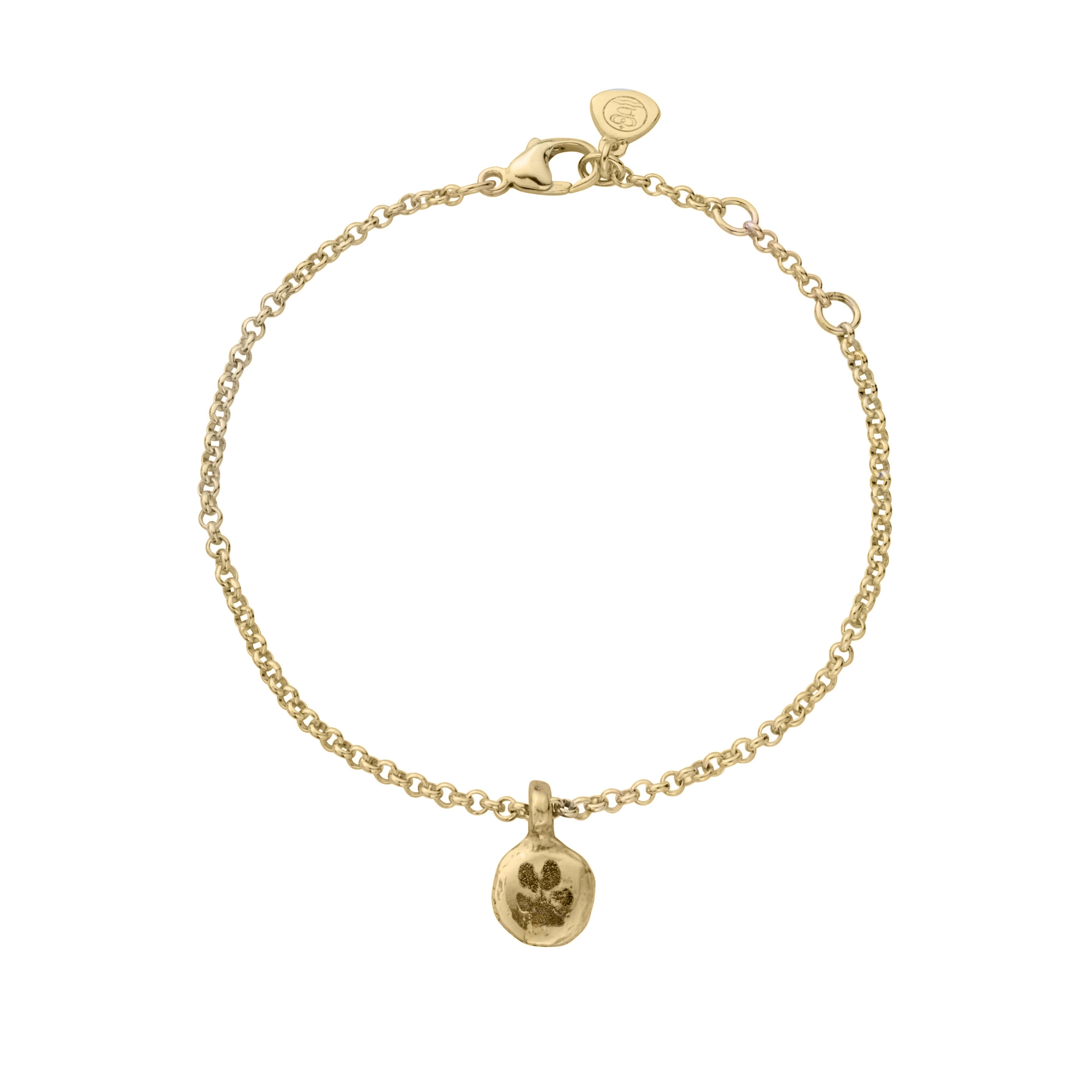 Gold Mini Disc Chain Bracelet with Paw Print