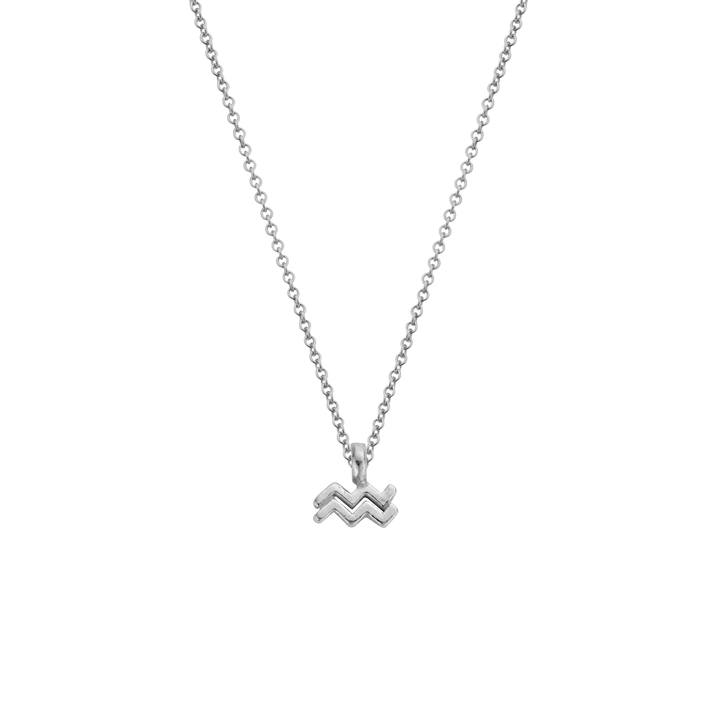Silver Mini Aquarius Horoscope Necklace