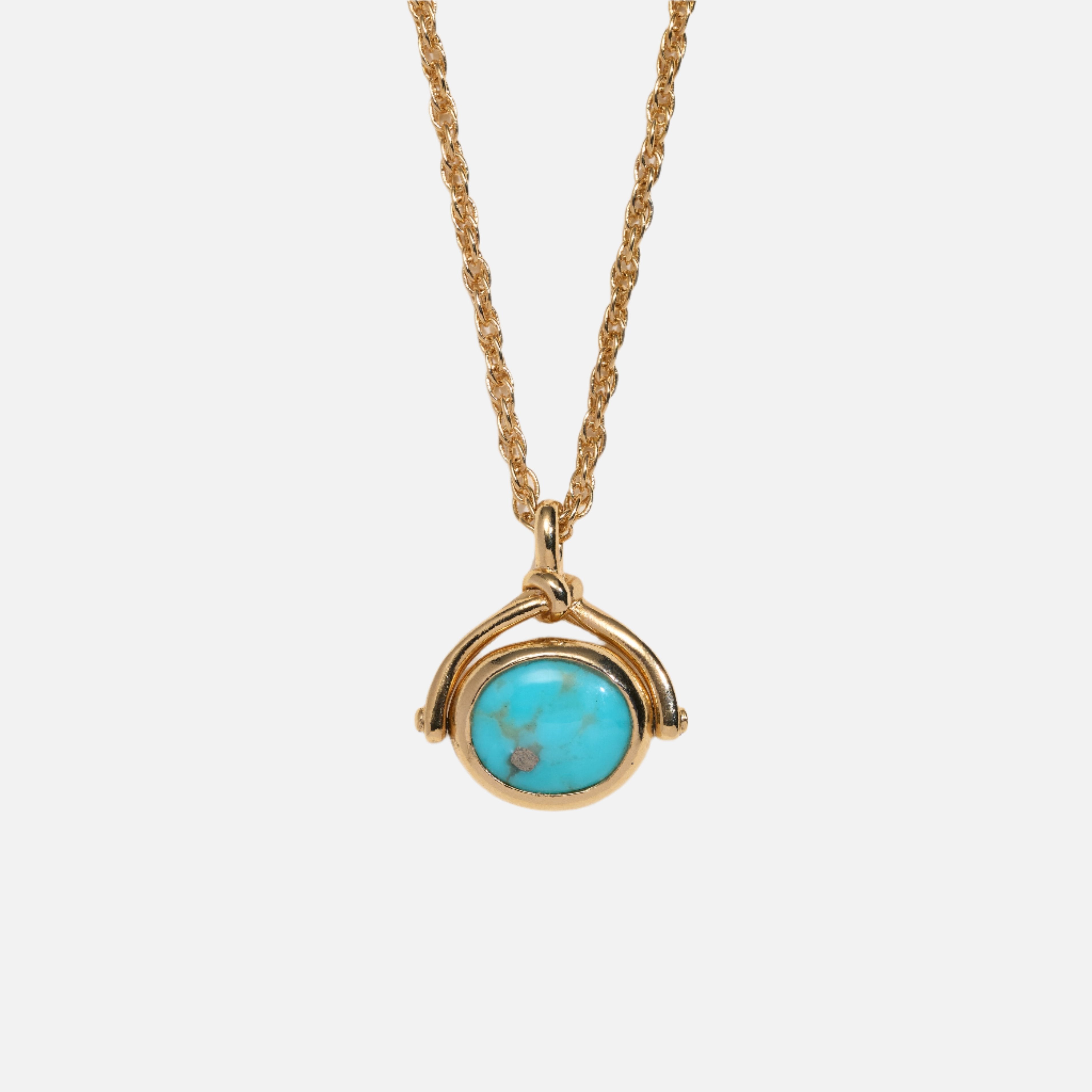 Aquarius Spinner Pendant
