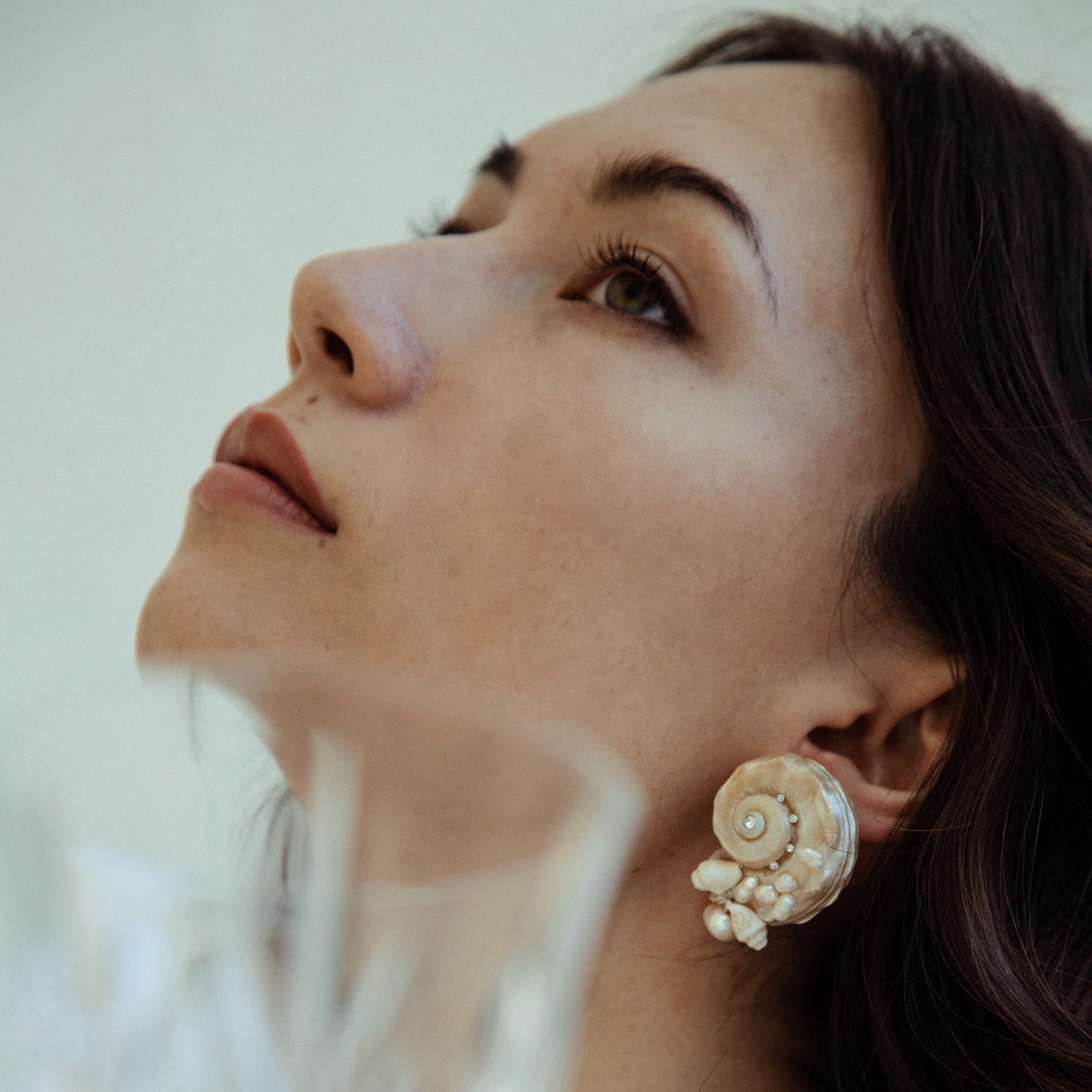 Seashell Earrings